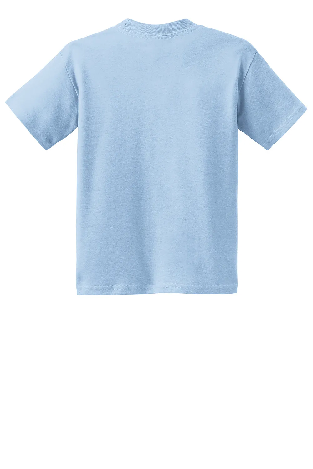 Hanes Youth EcoSmart Short Sleeve Crewneck T-Shirt - Light Blue