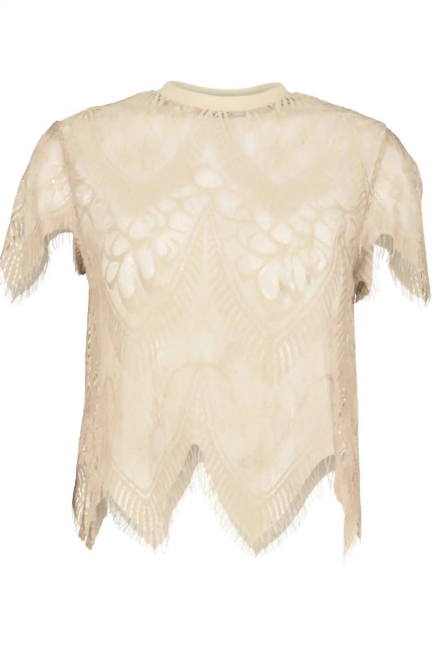 Sheer Genius Lace Tee In Ivory