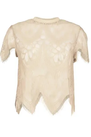 Sheer Genius Lace Tee In Ivory