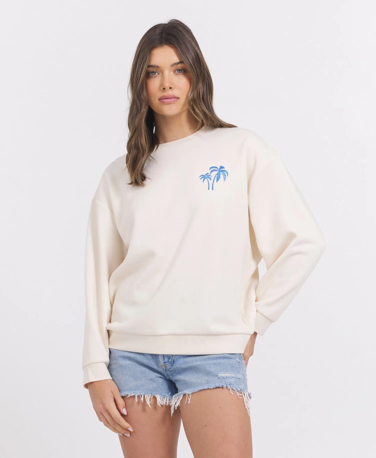 SURF WASH EMBROIDERED CREWNECK